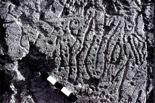 Rock engravings