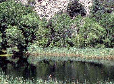 Lago Lolair - Arveir