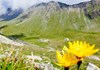 Rifugio Vittorio Sella