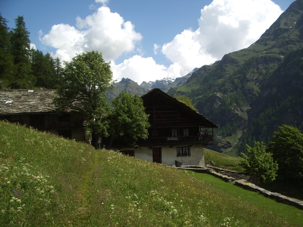 Alpenzu Piccolo - Gressoney-La-Trinité