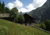 Alpenzù Piccolo - Gressoney-La-Trinité