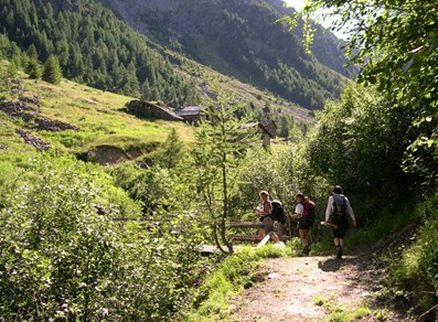 Verso Loo Inferiore - Gressoney-Saint-Jean