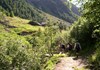 Verso Loo Inferiore - Gressoney-Saint-Jean