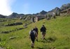 Verso Loo Superiore - Gressoney-Saint-Jean