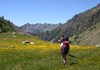 Discesa vallone Loo - Gressoney-Saint-Jean