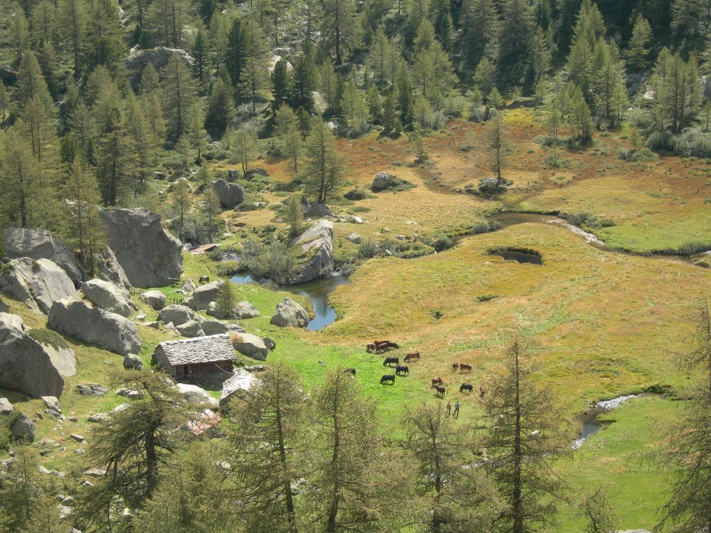 Verso il Col Dondeuil - Issime