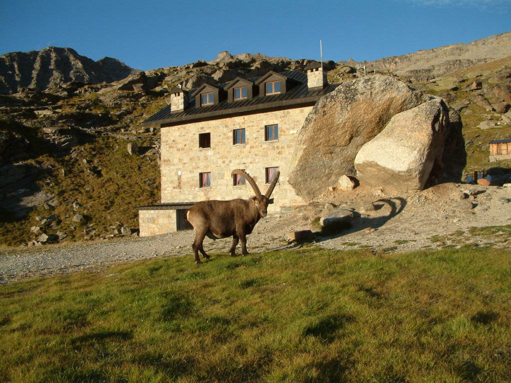 Rifugio Federico Chabod - Valsavarenche
