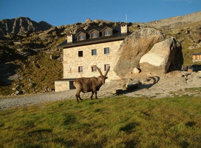 Rifugio Federico Chabod - Valsavarenche