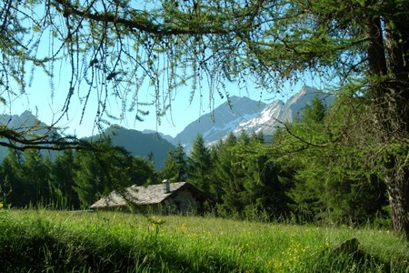 Il Mont Nery da Estoul - Brusson