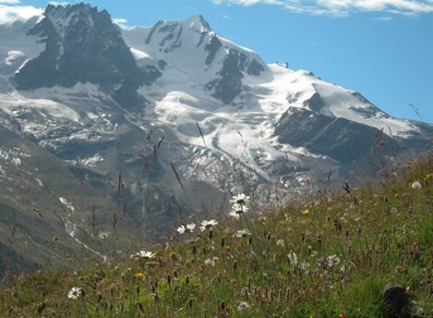 Il Grand Paradiso - Valsavarenche