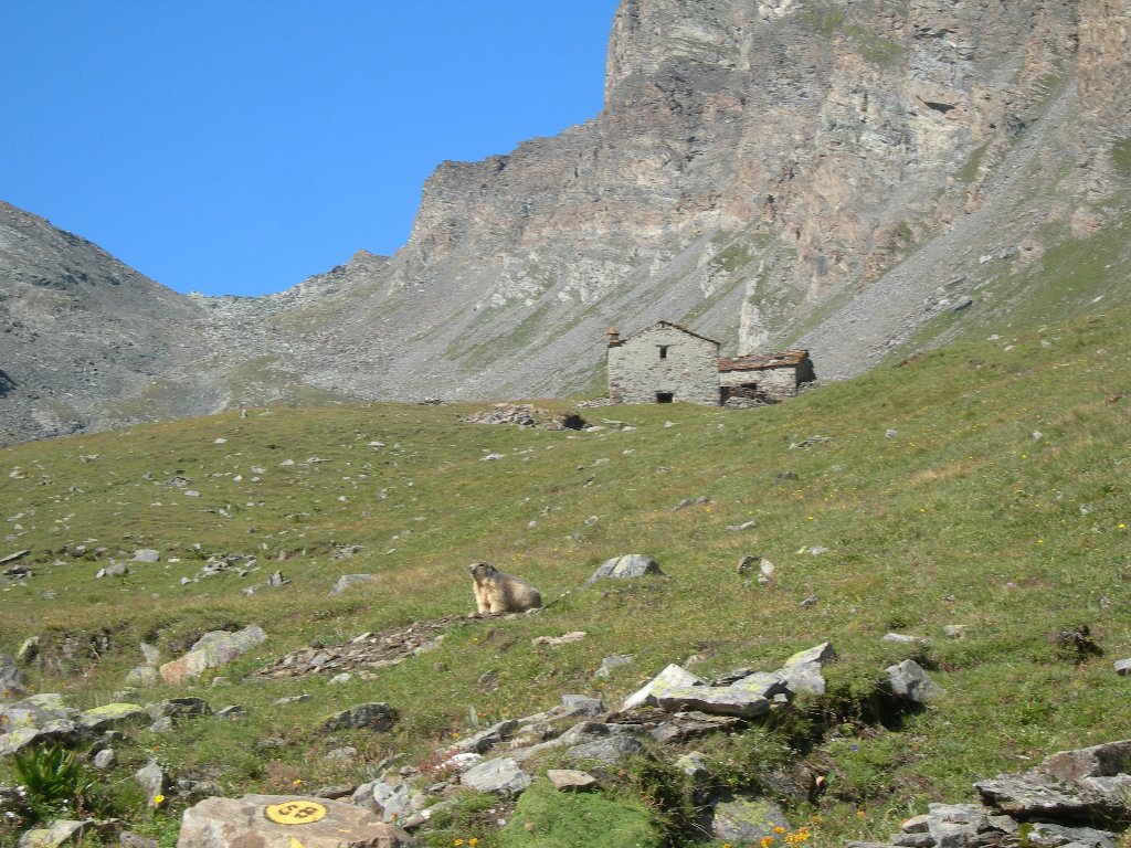 Il Col di Entrelor - Valsavarenche