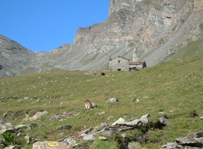 Il Col di Entrelor - Valsavarenche