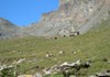Il Col di Entrelor - Valsavarenche