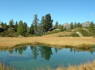 La Valle dei Principi - Gressoney-Saint-Jean