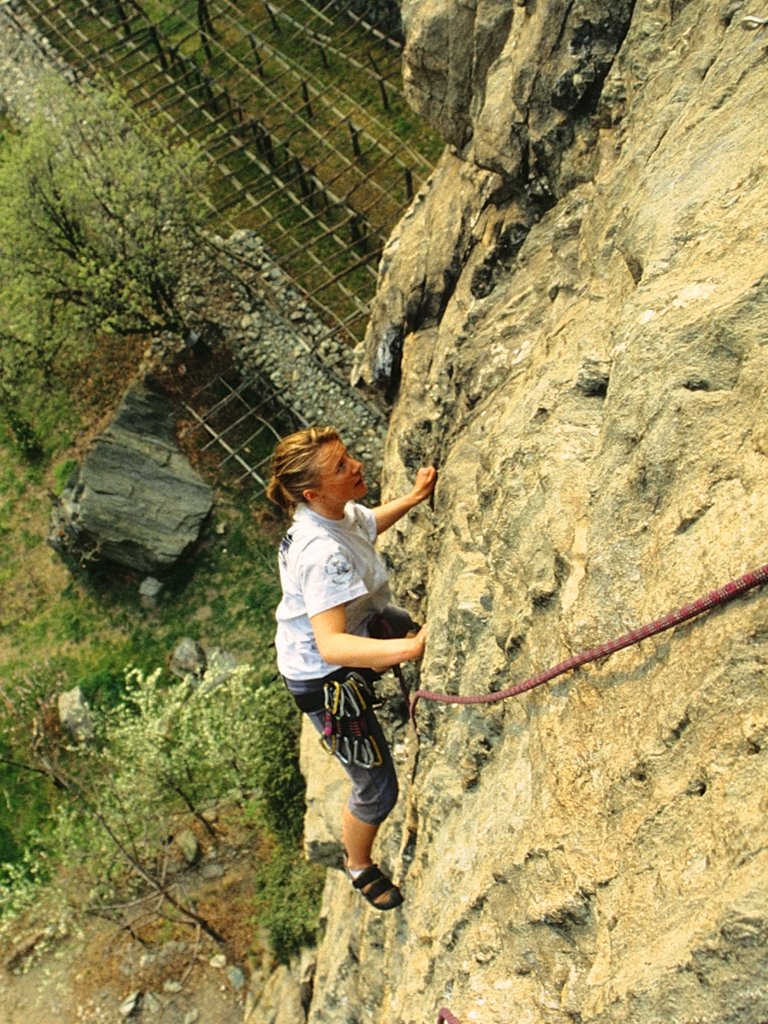 Topo pazzo