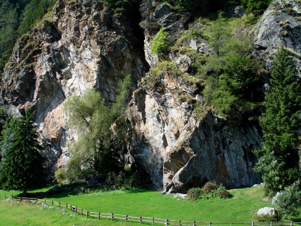 Overall view