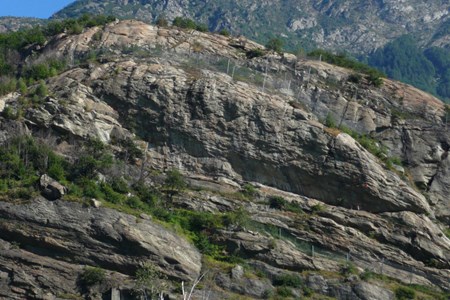 Main section