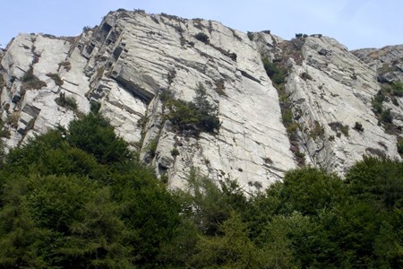Right section