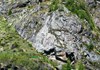 Lower section