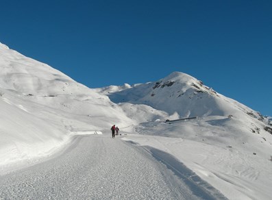 Along the slope
