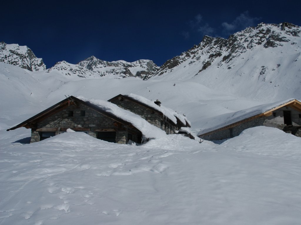 The mountain pasture
