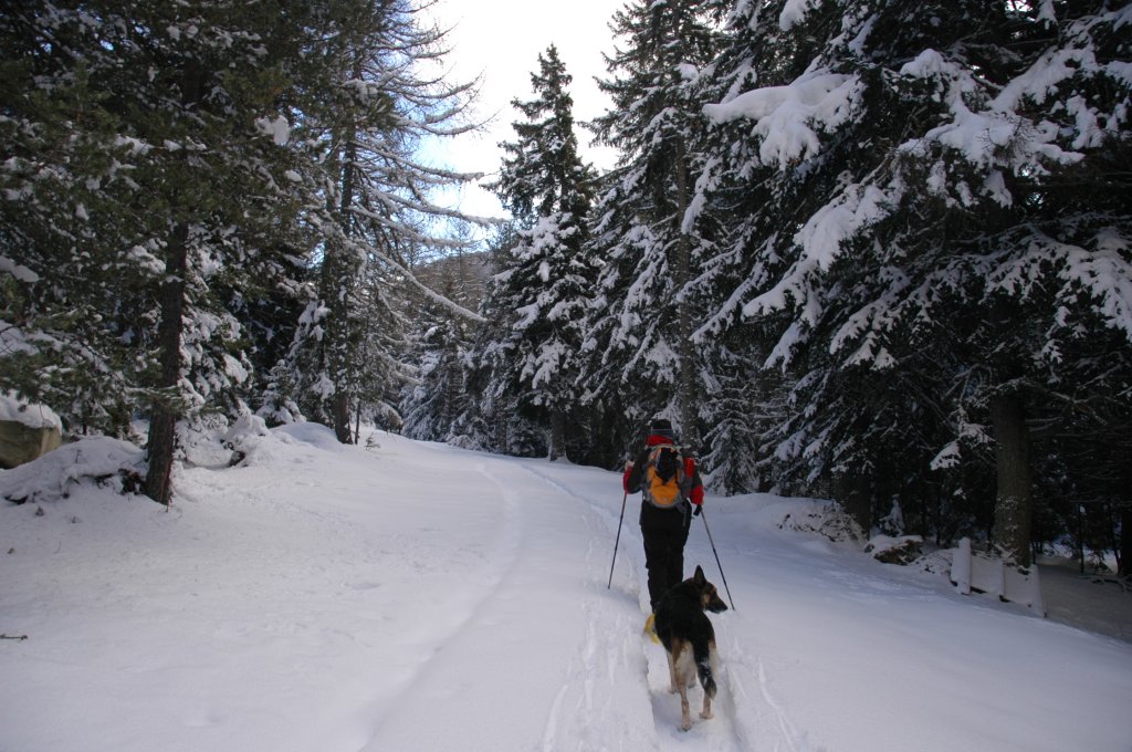 Salendo al col de Joux - Saint-Vincent