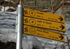 Stakes at the departure point