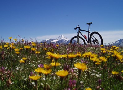 MTB al Lago delle Rane