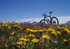 MTB al Lago delle Rane
