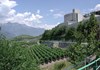 La cave des onze communes