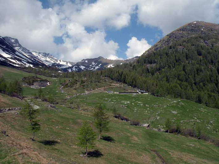 Alpe Ars