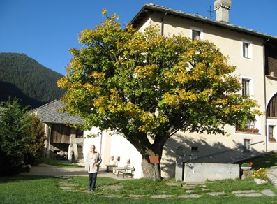 Chateau Verdun
