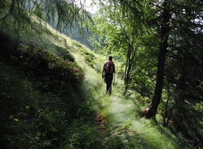 Verso il Colle Marmontana