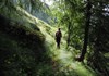 Verso il Colle Marmontana