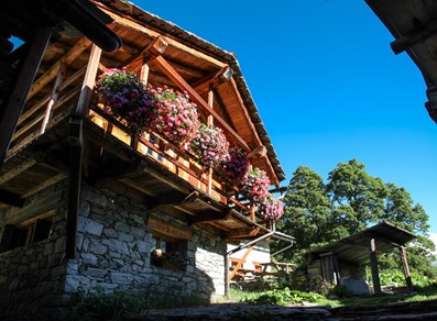 Alpenzu