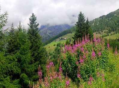 Résy
