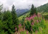 Résy