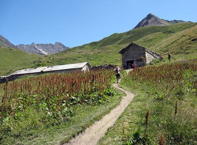 Alpe Malatrà Superiore