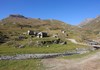 Dondena