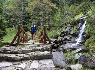 Nel bosco prima di Chardonney