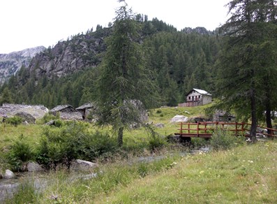 Brenve