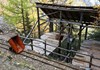 Mineral transport trolley
