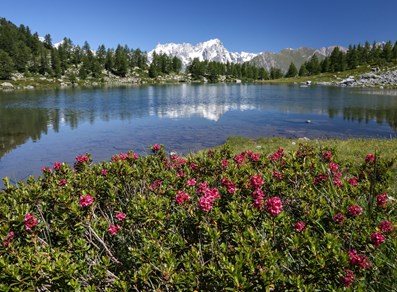 Lago d'Arpy
