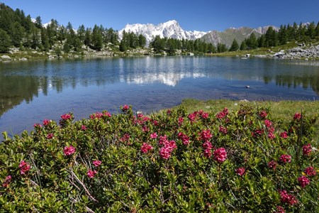 Arpy lake