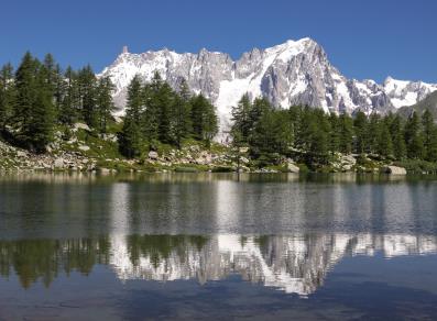 The Grandes Jorasses reflected in the Arpy lake