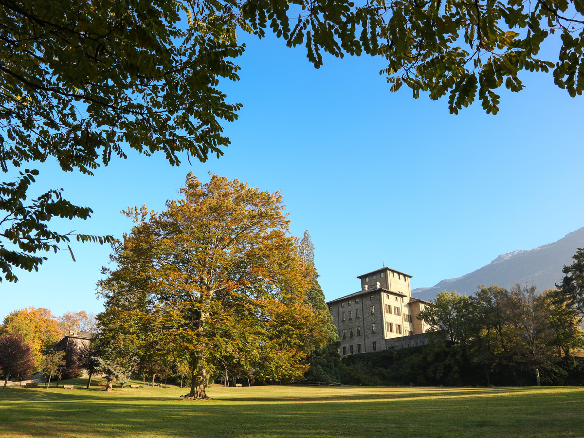 Château Gamba - automne