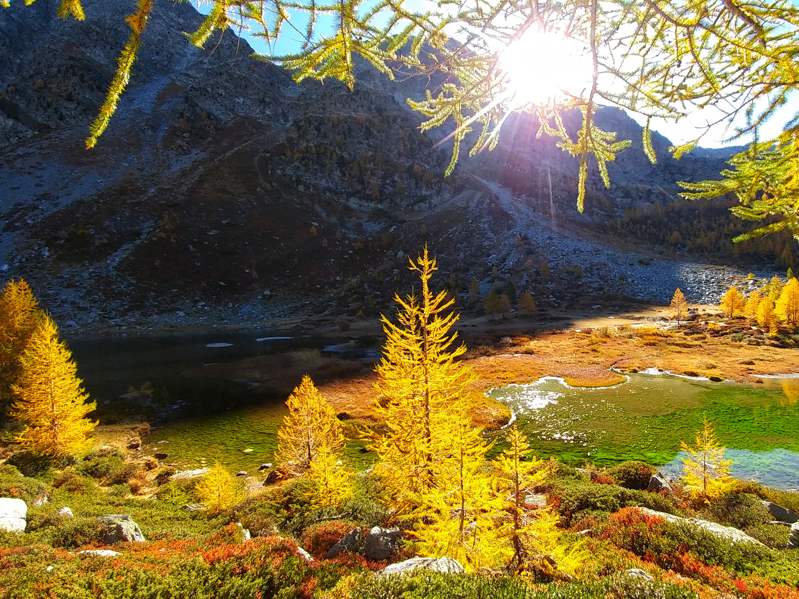 in autunno