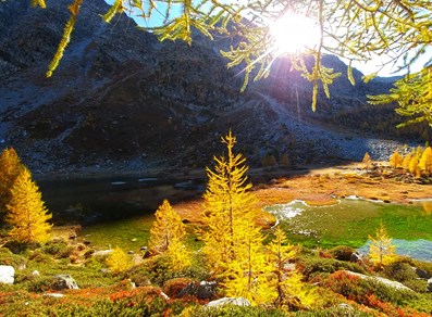 in autunno
