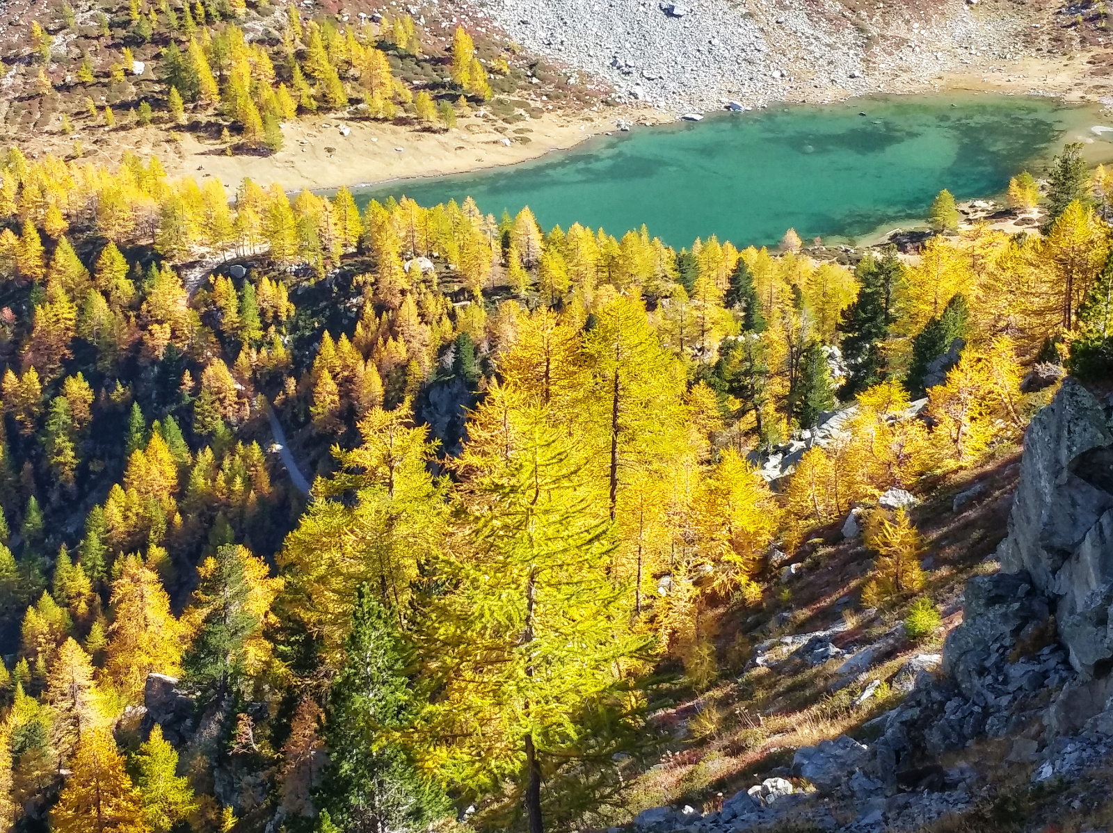 en automne