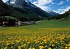Colle di Entrelor